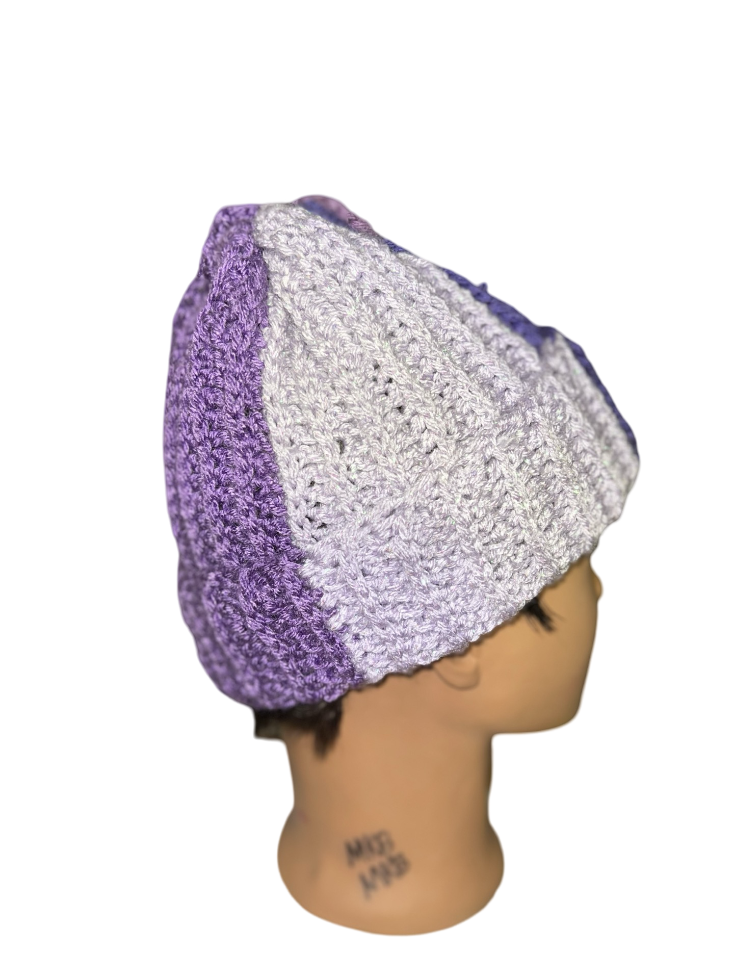 Favorite Color Block Beanie